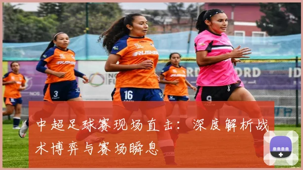 中超足球赛现场直击：深度解析战术博弈与赛场瞬息