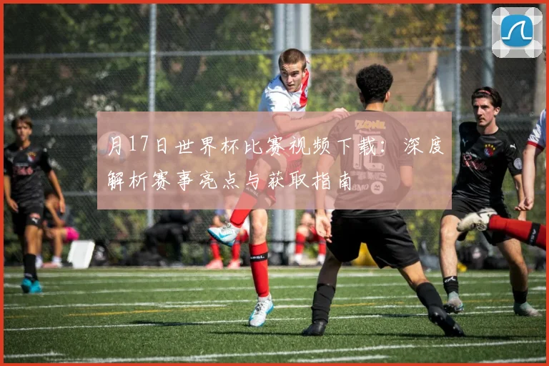 月17日世界杯比赛视频下载：深度解析赛事亮点与获取指南